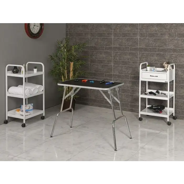 Veteriner Pet Bakım Ve Muayene Masası | Katlanır Ayaklı Kauçuk Üst Yüzeyli Tabla 6003