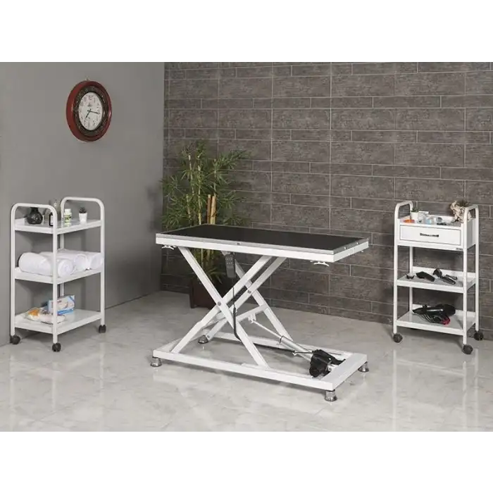 Veteriner Pet Bakım ve Muayene Masası | Elektrikli Yükseklik Hareketli Kauçuk Üst Yüzeyli 6009