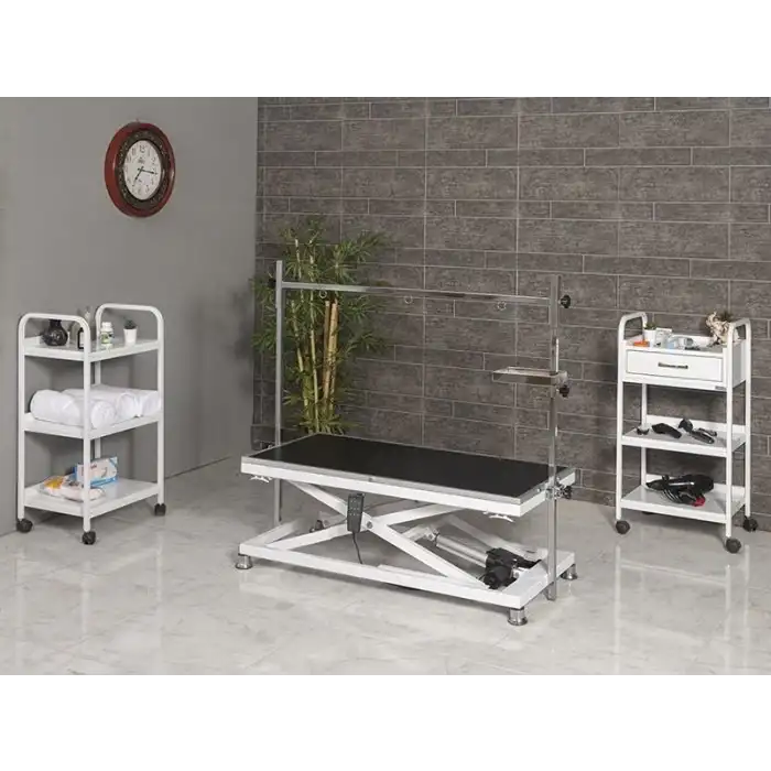 Veteriner Pet Bakım ve Muayene Masası | Elektrikli Yükseklik Hareketli Kauçuk Üst Yüzeyli 6009