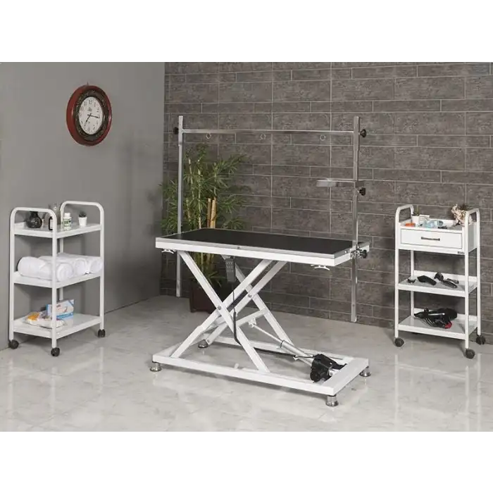 Veteriner Pet Bakım ve Muayene Masası | Elektrikli Yükseklik Hareketli Kauçuk Üst Yüzeyli 6009