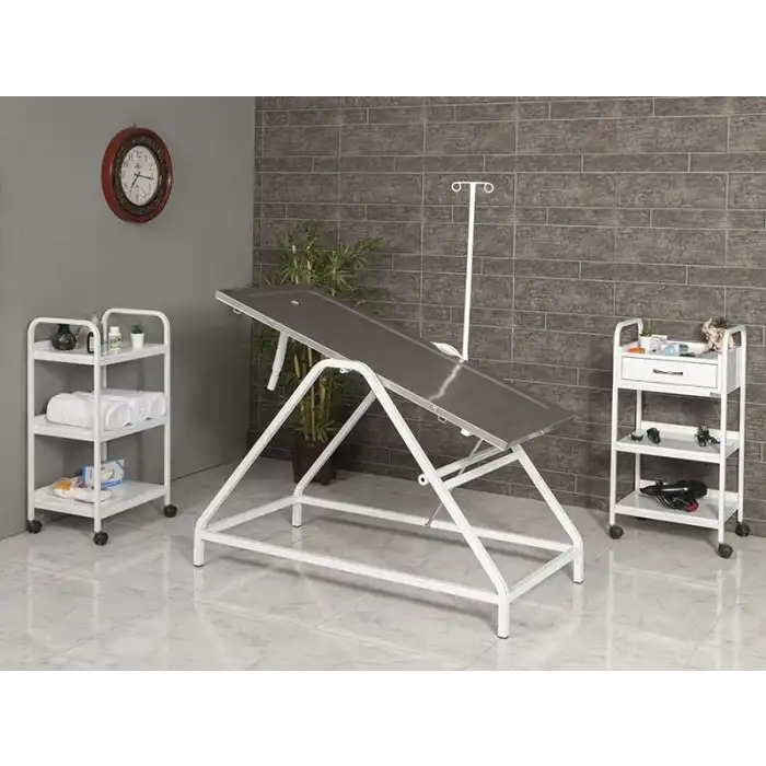 Veteriner Ameliyat ve Operasyon Masası | Trendelenburg Eğimli Dayanıklı Paslanmaz Üst Tablalı 6102