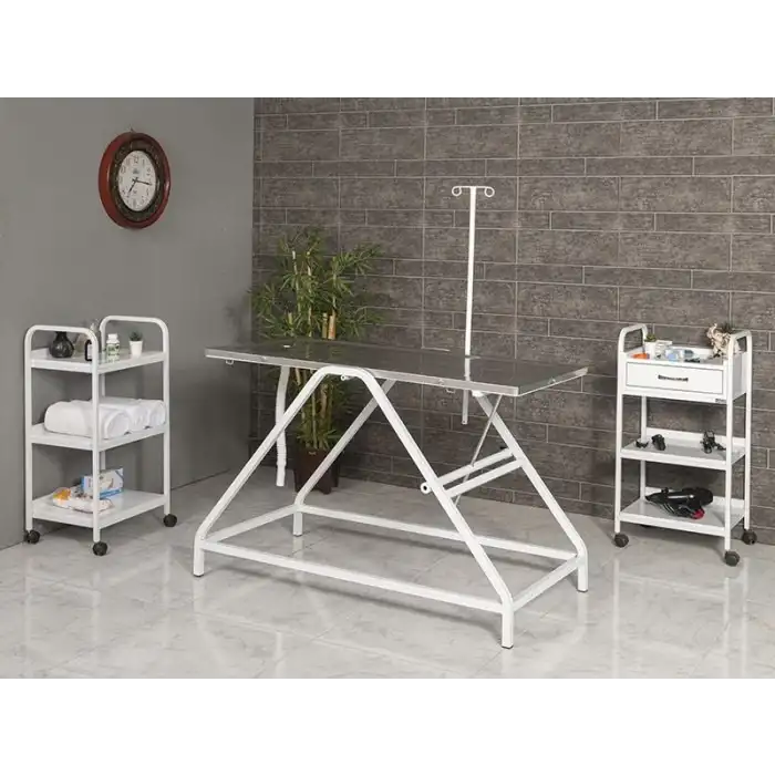 Veteriner Ameliyat ve Operasyon Masası | Trendelenburg Eğimli Dayanıklı Paslanmaz Üst Tablalı 6102