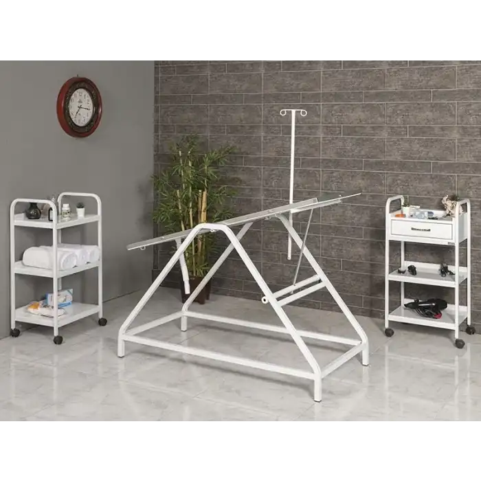 Veteriner Ameliyat ve Operasyon Masası | Trendelenburg Eğimli Dayanıklı Paslanmaz Üst Tablalı 6102