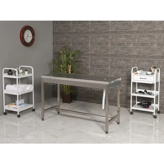 Veteriner Masası | Sabit Ayaklı Komple 304 Kalite Paslanmaz Krom Gövdeli Yapı 6303