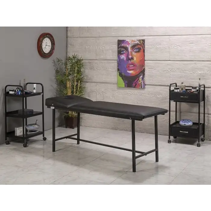 Basic Katlanır Ayaklı Bakım ve Masaj Masası Siyah | Vinlex Döşeme ve Ayarlanabilir Sırt Kısmı 3012