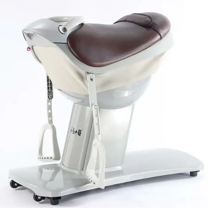 Hipoterapi Cihazı At Binme Simülasyonu | 20 Hız Kademeli ve Dokunmatik Ekranlı VMAXİ0082