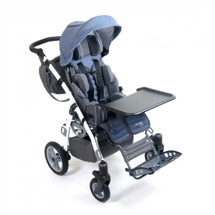 Mywam Grizzly Engelli Çocuk Puseti Full Aksesuarlı | Yatar Sırtlık, Çift Yönlü Montaj, 45 kg Taşıma Kapasiteli