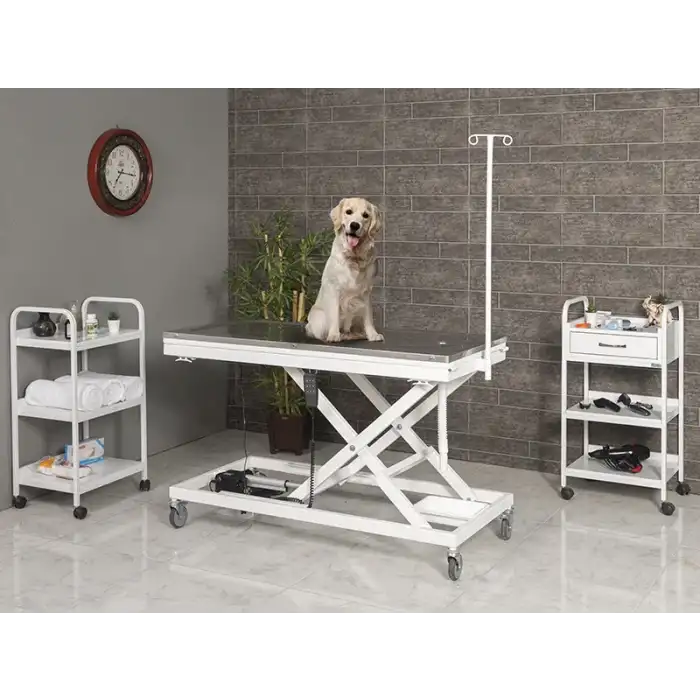 Veteriner Ameliyat Ve Operasyon Masası | Motorlu Yükseklik Hareketli, Paslanmaz Üst Tabla 6107