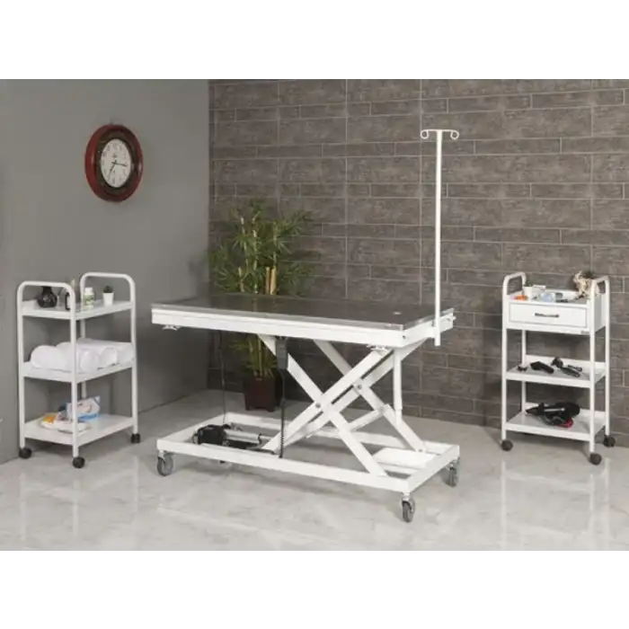 Veteriner Ameliyat Ve Operasyon Masası | Motorlu Yükseklik Hareketli, Paslanmaz Üst Tabla 6107