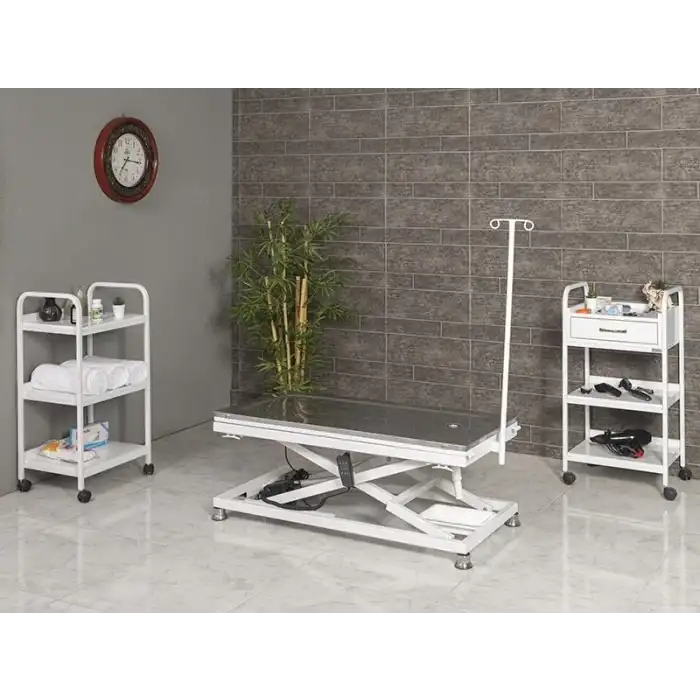 Veteriner Ameliyat Ve Operasyon Masası | Motorlu Yükseklik Paslanmaz Üst Tabla Sistemli Model 6110