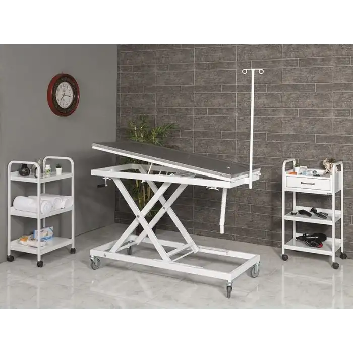 Veteriner Ameliyat Ve Operasyon Masası | Yükseklik Hareketli Paslanmaz Üst Tabla Manuel Sistem 6106