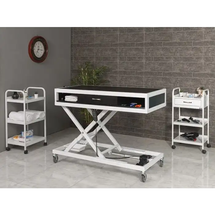 Veteriner Pet Bakım ve Muayene Masası | Elektrikli Yükseklik Ayarlı Çekmeceli Kauçuk Yüzeyli 6010