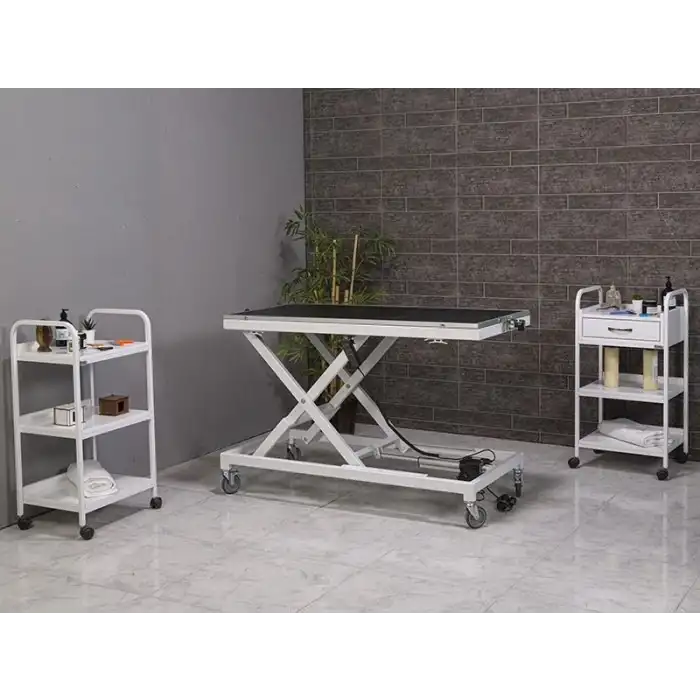 Veteriner Pet Bakım ve Muayene Masası | Elektrikli Yükseklik Ayarlı Kaymaz Kauçuk Üst Yüzeyli 6012