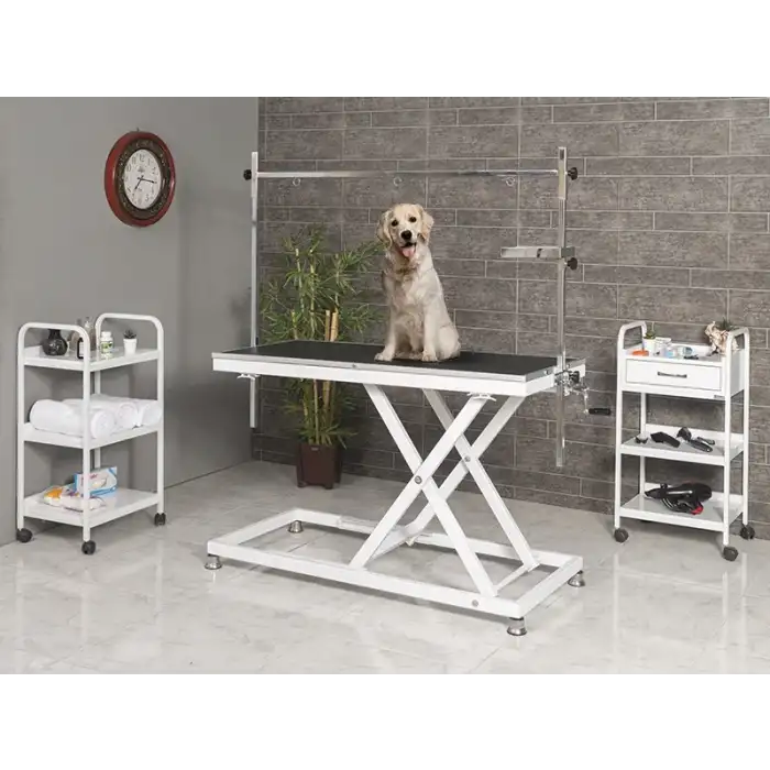 Veteriner Pet Bakım ve Muayene Masası | Yükseklik Hareketli Dayanıklı Kauçuk Üst Yüzeyli 6008