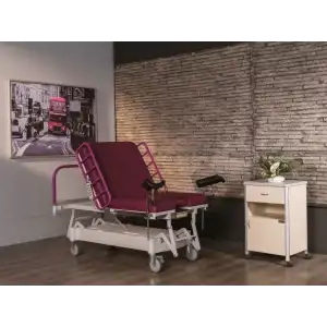 3 Motorlu Doğum Karyolası | Motorlu Yükseklik, Trendelenburg ve Autocontour Özellikli TM-D 4066