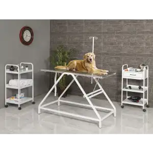 Veteriner Ameliyat ve Operasyon Masası | Trendelenburg Eğimli Dayanıklı Paslanmaz Üst Tablalı 6102