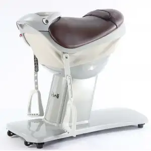 Hipoterapi Cihazı At Binme Simülasyonu | 20 Hız Kademeli ve Dokunmatik Ekranlı VMAXİ0082