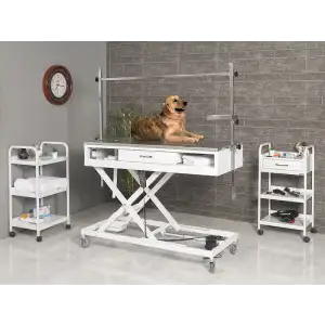 Veteriner Ameliyat Ve Operasyon Masası | Motorlu Yükseklik Hareketli Paslanmaz Üst Tabla 6108