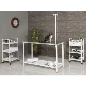 Veteriner Ameliyat ve Operasyon Masası | Sabit Ayaklı Dayanıklı Paslanmaz Gövdeli Üst Tablalı 6101