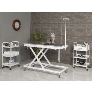 Veteriner Ameliyat Ve Operasyon Masası | Yükseklik Hareketli Paslanmaz Üst Tabla Manuel Sistem 6106