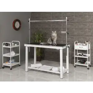 Veteriner Pet Bakım Ve Muayene Masası | Sabit Ayaklı Kauçuk Üst Yüzey Dayanıklı Platform Tabla 6005