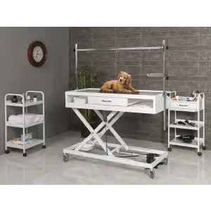 Veteriner Röntgen X-Ray Masası Beyaz | Motorlu Yükseklik Hareketli Plexiglass Üst Tabla 6203
