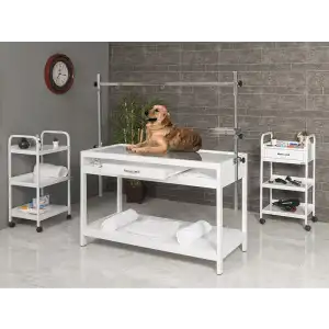 Veteriner Röntgen X-Ray Masası Beyaz | Sabit Ayaklı Plexiglass Üst Tabla Ahşap Çekmeceli 6201