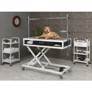 Veteriner Röntgen X-Ray Masası Siyah | Motorlu Yükseklik Hareketli Plexiglass Üst Tabla 6204