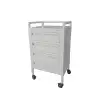 4 Çekmeceli Cihaz Arabası | Metal Gövde, Antibakteriyel Boyalı, Antistatik Tekerlekli E-232/D