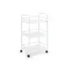 Arya Cihaz Taşıma ve Setup Sehpası Beyaz | Metal Gövdeli Delikli Üç Raflı Profesyonel Sehpa 4013