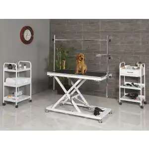 Veteriner Pet Bakım ve Muayene Masası | Elektrikli Yükseklik Hareketli Kauçuk Üst Yüzeyli 6009