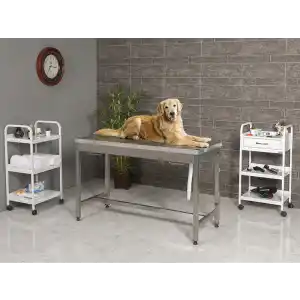 Veteriner Masası | Sabit Ayaklı Komple 304 Kalite Paslanmaz Krom Gövdeli Yapı 6303