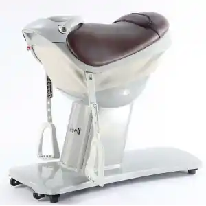 Hipoterapi Cihazı At Binme Simülasyonu | 20 Hız Kademeli ve Dokunmatik Ekranlı VMAXİ0082