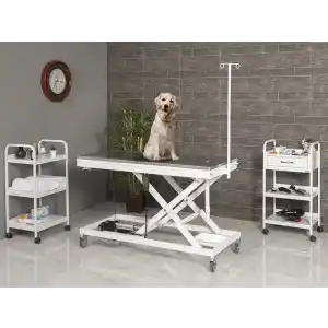 Veteriner Ameliyat Ve Operasyon Masası | Motorlu Yükseklik Hareketli, Paslanmaz Üst Tabla 6107