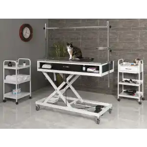 Veteriner Ameliyat Ve Operasyon Masası | Motorlu Yükseklik Hareketli Paslanmaz Üst Tabla 6109