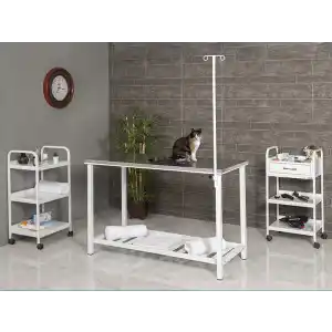 Veteriner Ameliyat ve Operasyon Masası | Sabit Ayaklı Dayanıklı Paslanmaz Gövdeli Üst Tablalı 6101