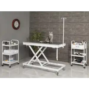 Veteriner Ameliyat Ve Operasyon Masası | Yükseklik Hareketli Paslanmaz Üst Tabla Manuel Sistem 6106