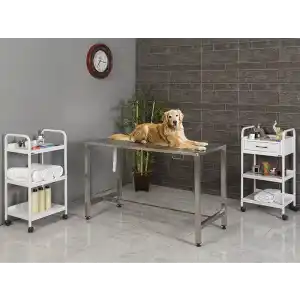 Veteriner Masası | Sabit Ayaklı Komple 304 Kalite Paslanmaz Krom Atık Su Giderli Yapı 6302