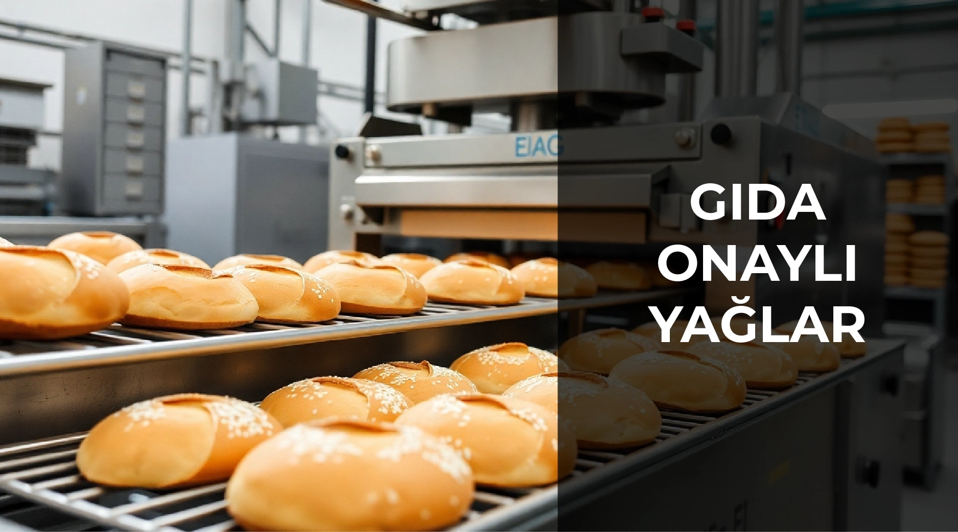 Gıda Onaylı Yağlar