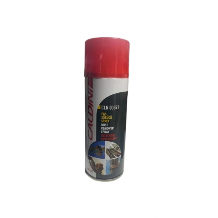 CLN. 00551 CALDİNİ PAS SÖKÜCÜ SPREY 400 ML