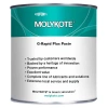 Molykote® G-Rapid Plus Paste 1 Kg Montaj Pastası