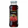CAPY VİŞNE 250ML