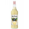 MONIN LE MIXEUR PINACO MIX - 1 LT - GLASS 3052911660221