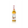 MONIN SYRUP GINGERBREAD 700ML