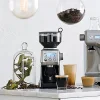Sage BCG820 The Smart Grinder™ Pro Kahve Öğütücü