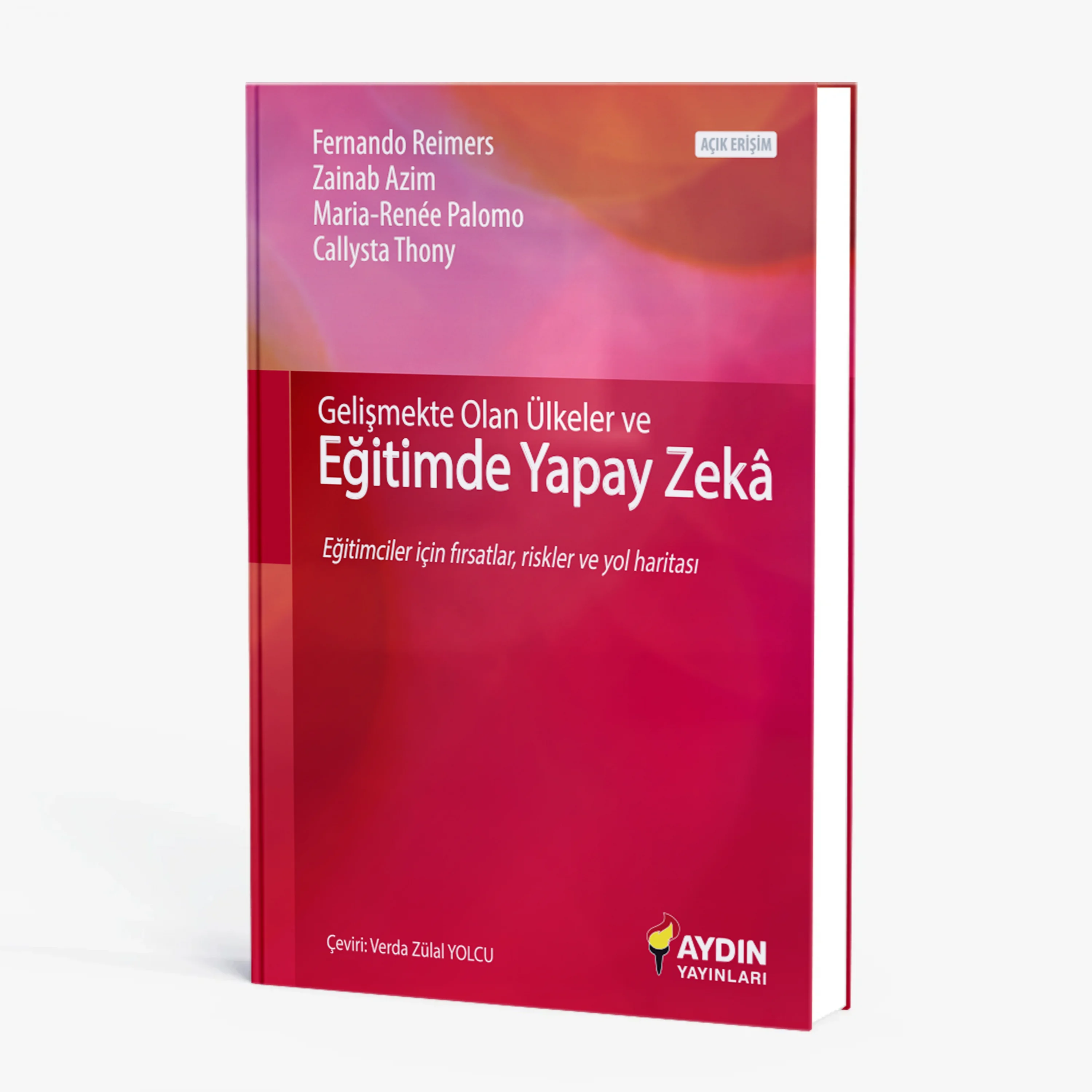 Gelişmekte Olan Ülkeler ve Eğitimde Yapay Zeka