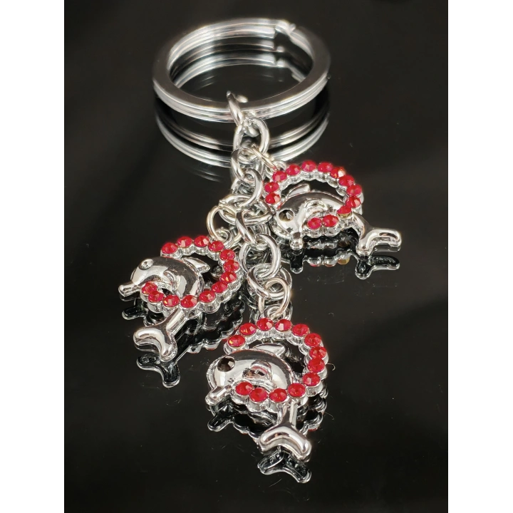 Kırmızı Taşlı Halkalar İçinde Yunus Balıklarından Metal Anahtarlık