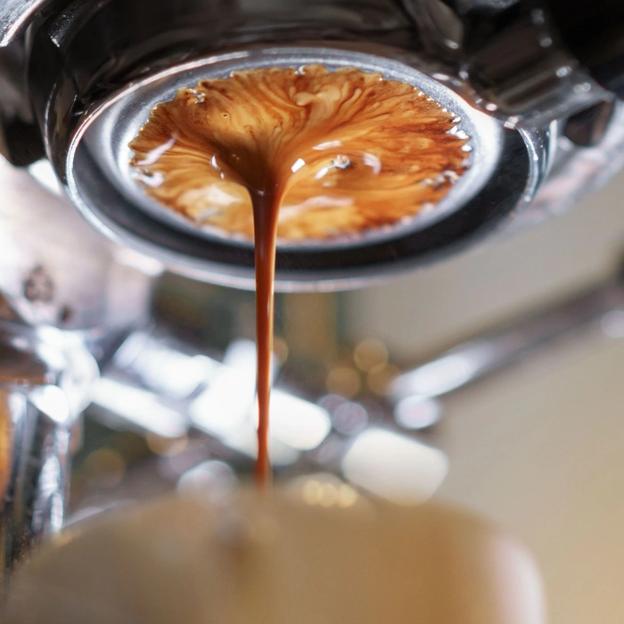 Capuccino ve Espresso Makinesi 1 Gruplu Siyah