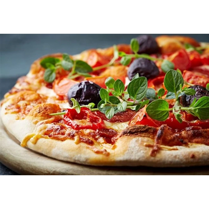 Gazlı Taş Tabanlı Pizza Fırını