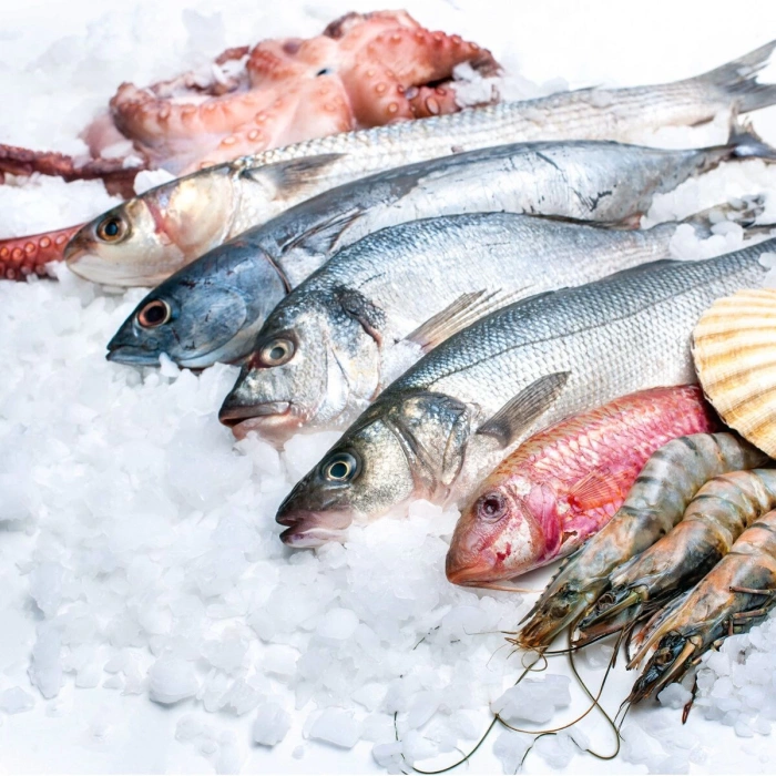 Kar Buz Makinesi Alt Hazne Dahil